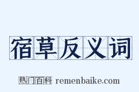 宿草反义词是什么意思的图片
